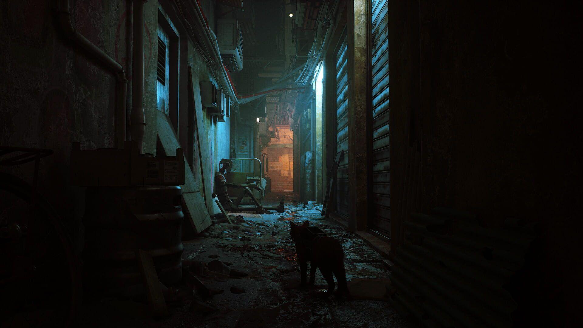 Stray Gameplay