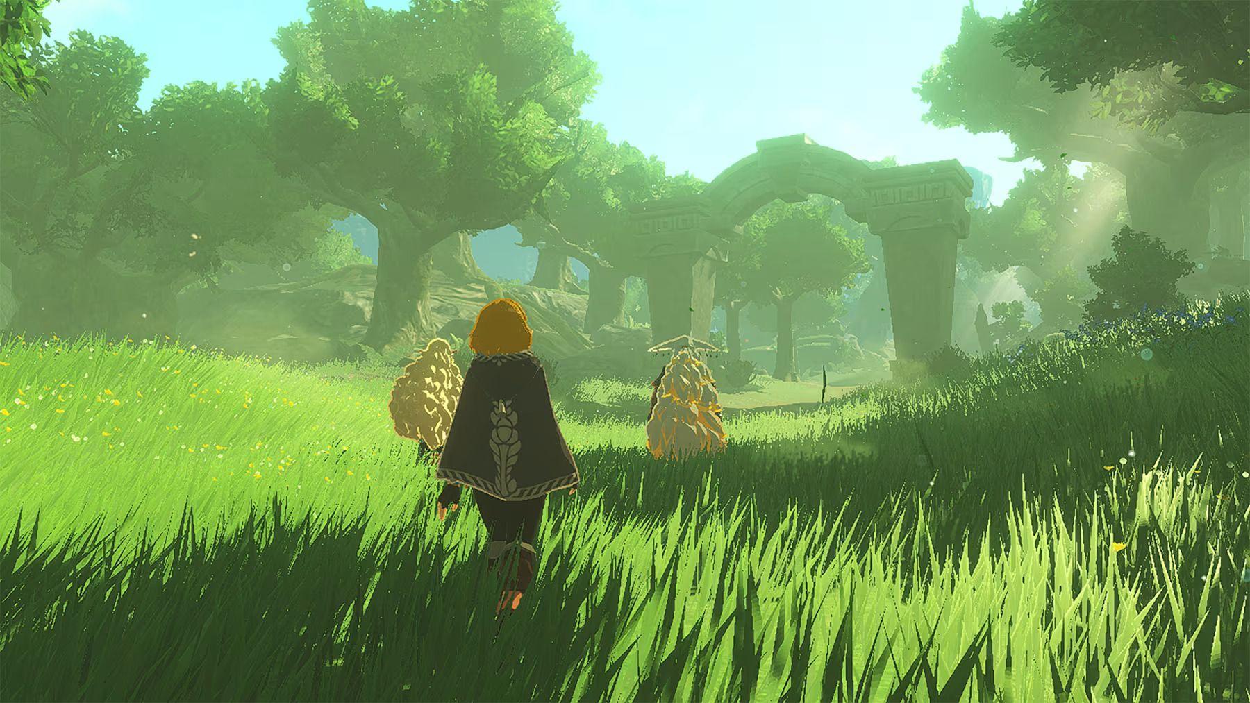 Hyrule Warriors Age of Imprisonment Game Image 1.jpg