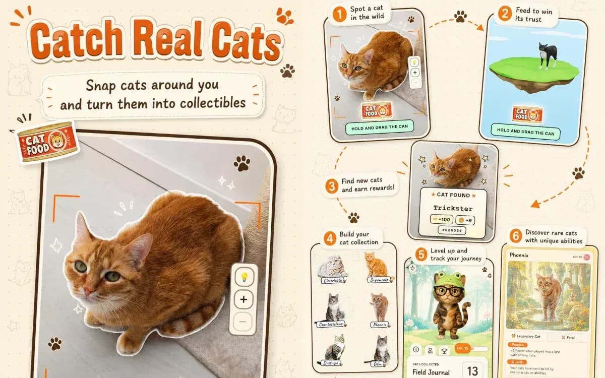 CatchCat Lets You Collect Real Neighborhood Cats Like Pokémon Go image