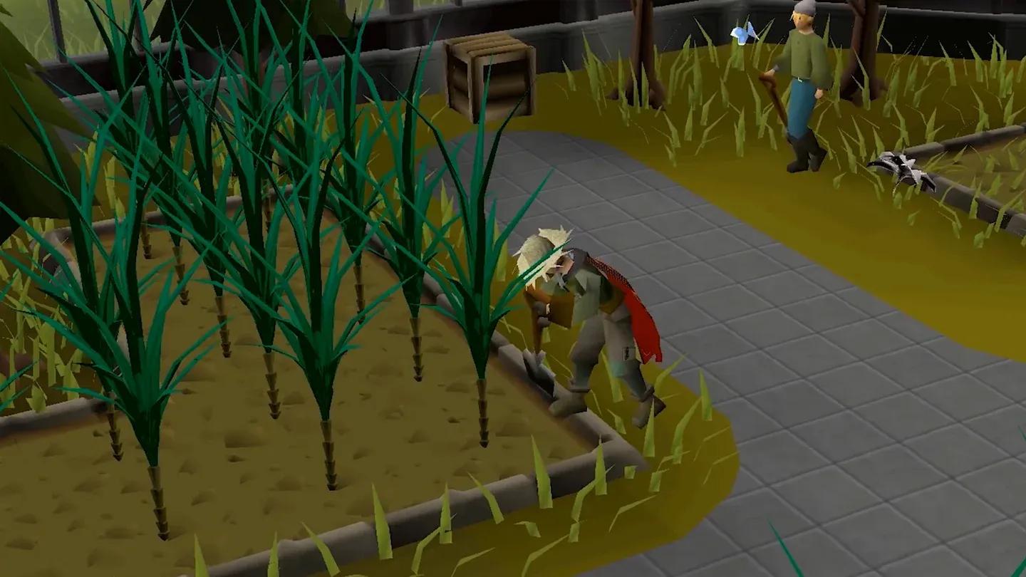 Old School RuneScape Gallery 8